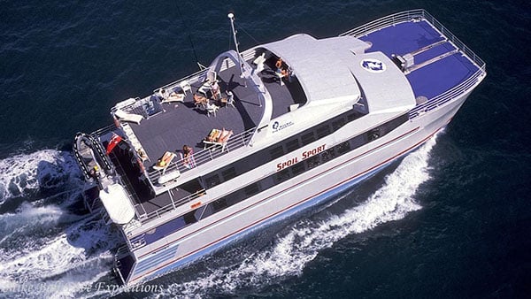 2-Mike-Ball-Dive-Expeditions-Spoilsport-Australia NL 2-Mike-Ball-Dive-Expeditions-Spoilsport-Australia NL