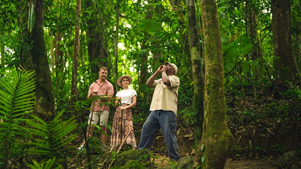 TEQ Mossman Gorge walking tour 151758-19 600 TEQ Mossman Gorge walking tour 151758-19 600