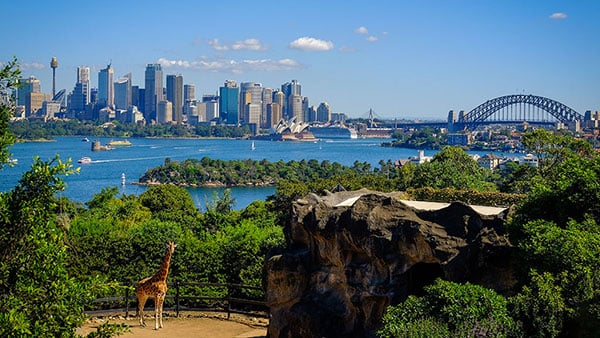 Taronga zoo shutterstock_656487244 NL Taronga zoo shutterstock_656487244 NL