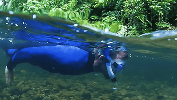 backcountry-bliss-rainforest-snorkel NL backcountry-bliss-rainforest-snorkel NL